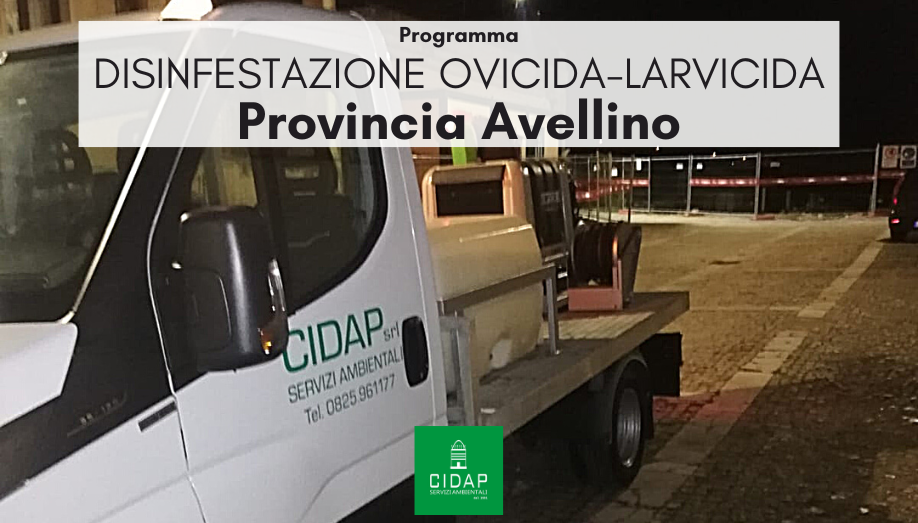 Provincia Avellino, programma di disinfestazione ovidica-larvicida maggio/giugno 2024