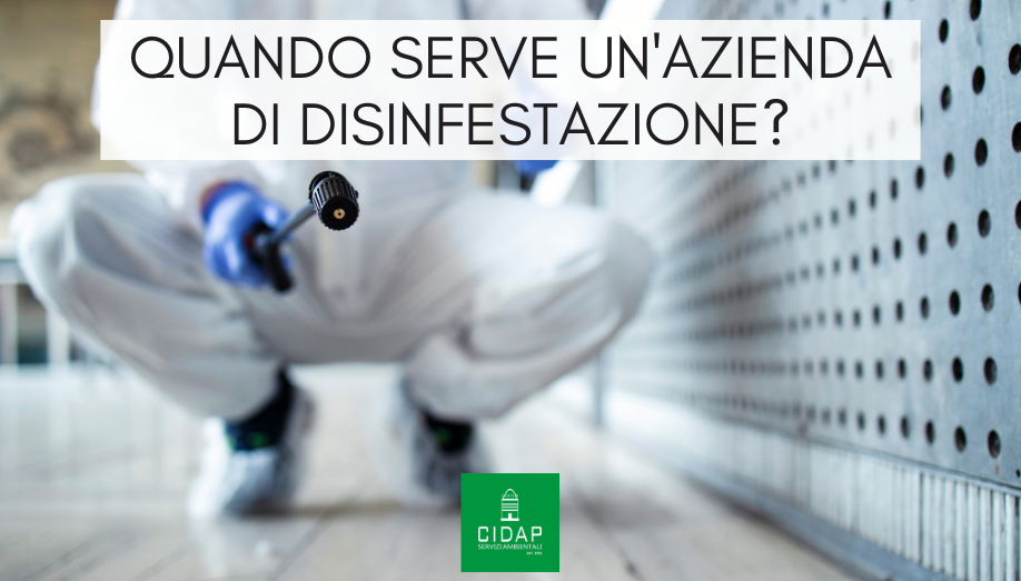 Quando chiamare azienda disinfestazione professionale