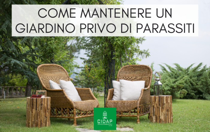 Come mantenere un giardino sano e privo di parassiti