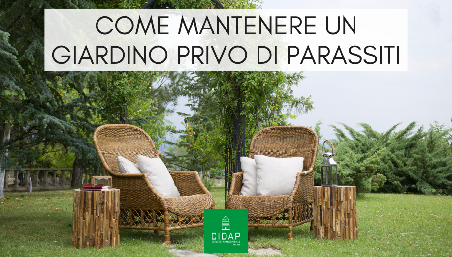 Come mantenere un giardino sano e privo di parassiti