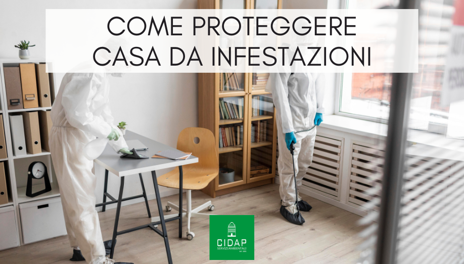 Come proteggere casa da infestazioni: strategie preventive e soluzioni