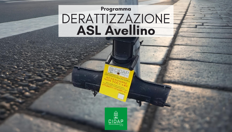 Programma derattizzazione ASL Avellino ottobre 2024