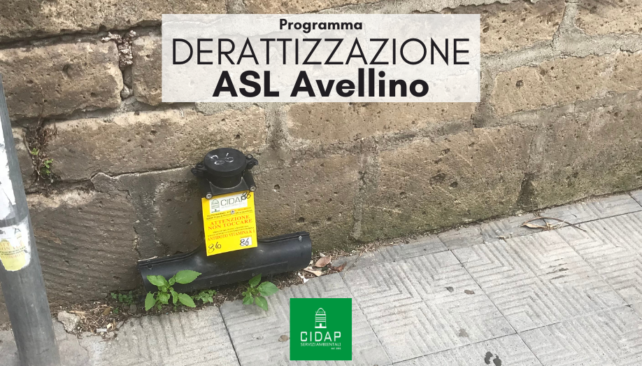 Programma derattizzazione ASL Avellino novembre 2024