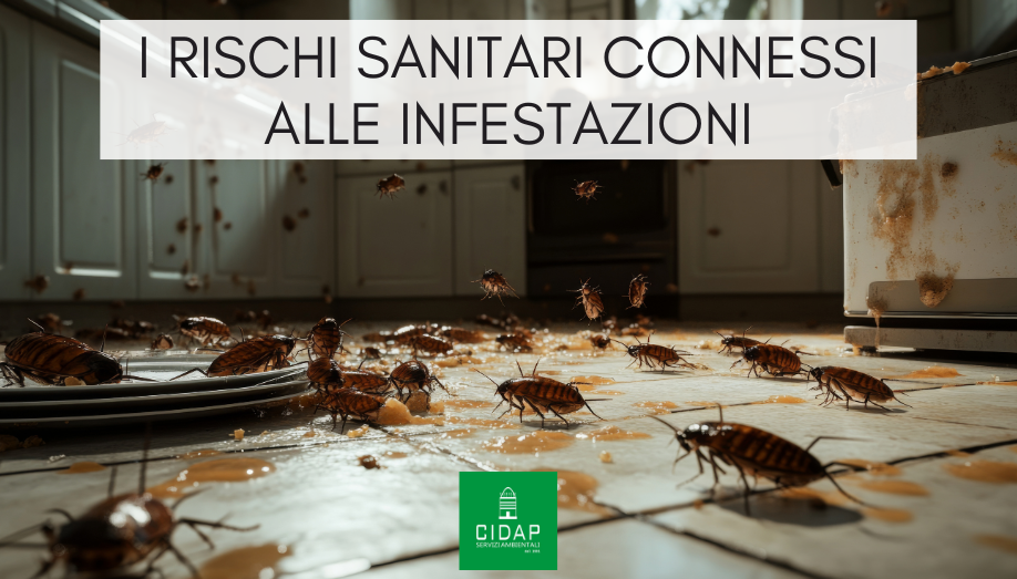 Rischi sanitari connessi alla infestazione di insetti e roditori