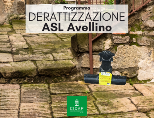 Programma derattizzazione ASL Avellino febbraio 2025