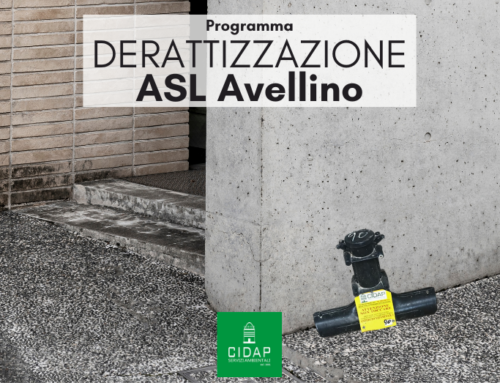 Programma derattizzazione ASL Avellino maggio/giugno 2025