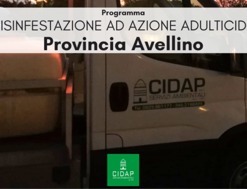 Provincia Avellino, programma di disinfestazione ad azione adulticida giugno 2025