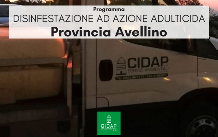 Provincia Avellino, programma di disinfestazione ad azione adulticida giugno 2025