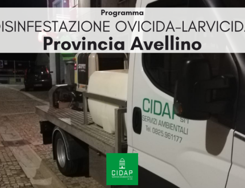 Provincia Avellino, programma di disinfestazione ad azione adulticida giugno 2025