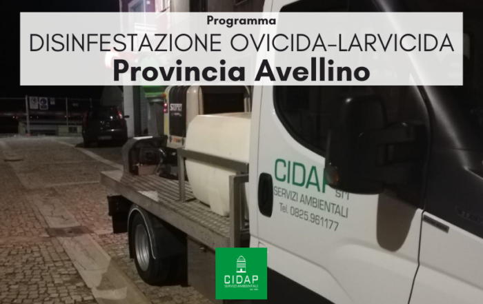 Provincia Avellino, programma di disinfestazione ad azione adulticida giugno 2025