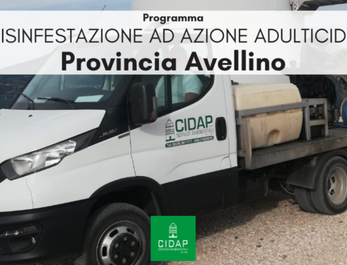 Provincia Avellino, programma di disinfestazione ad azione adulticida maggio 2025