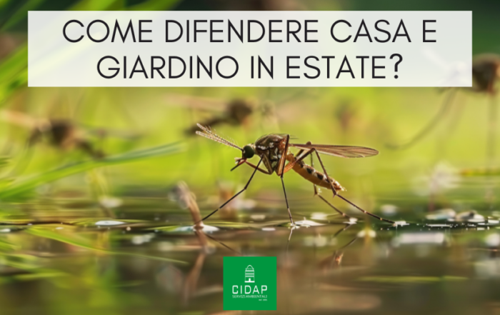 Come difendere casa e giardino da zanzare e formiche in estate