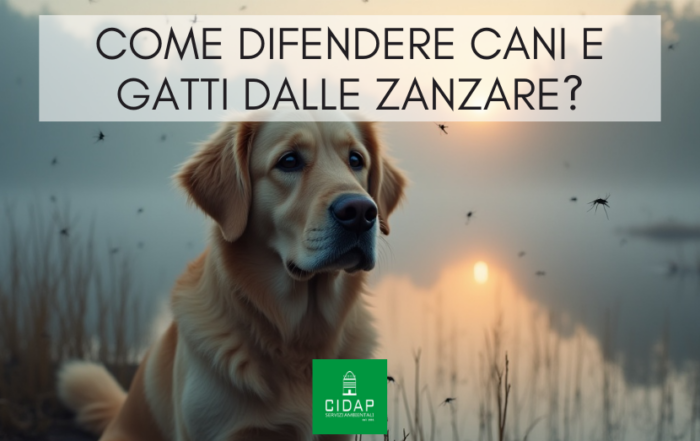Come prevenire e difendere animali domestici da zanzare