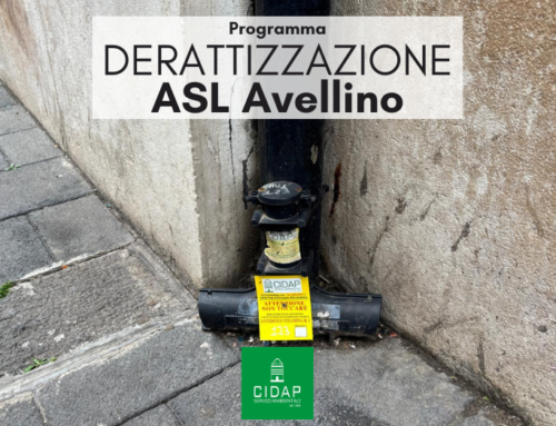 Programma derattizzazione ASL Avellino giugno/luglio 2025