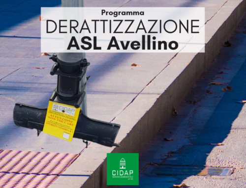 Programma derattizzazione ASL Avellino luglio 2025