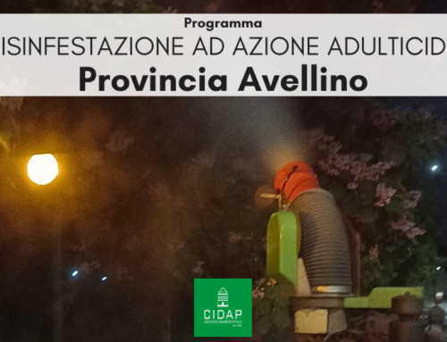 Provincia Avellino, programma di disinfestazione ad azione adulticida luglio 2025