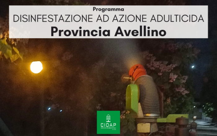 Provincia Avellino, programma di disinfestazione ad azione adulticida luglio 2025