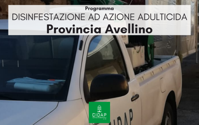 Provincia Avellino, programma di disinfestazione ad azione adulticida agosto 2025