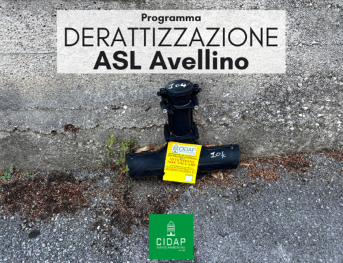 Programma derattizzazione ASL Avellino settembre 2025