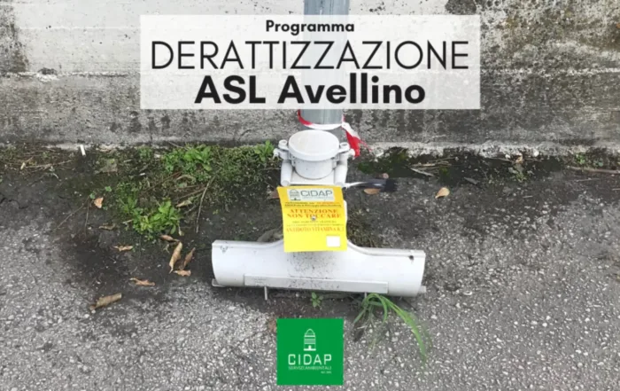 Programma derattizzazione ASL Avellino ottobre 2025