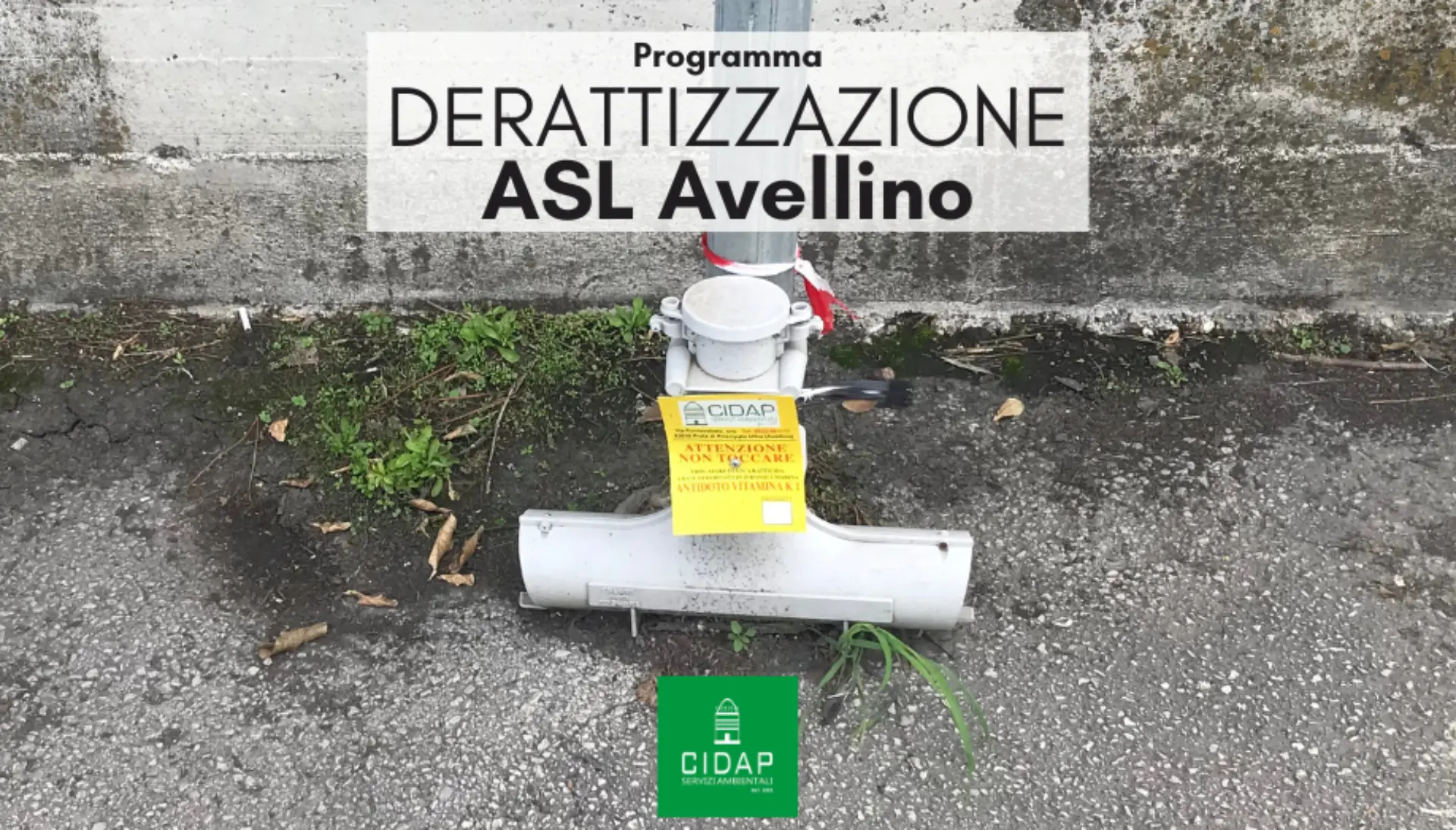Programma derattizzazione ASL Avellino ottobre 2025