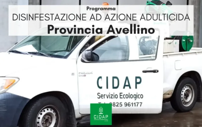 Provincia Avellino, programma di disinfestazione ad azione adulticida ottobre 2025
