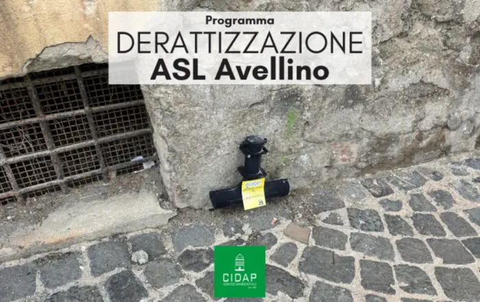 Programma derattizzazione ASL Avellino dicembre 2025