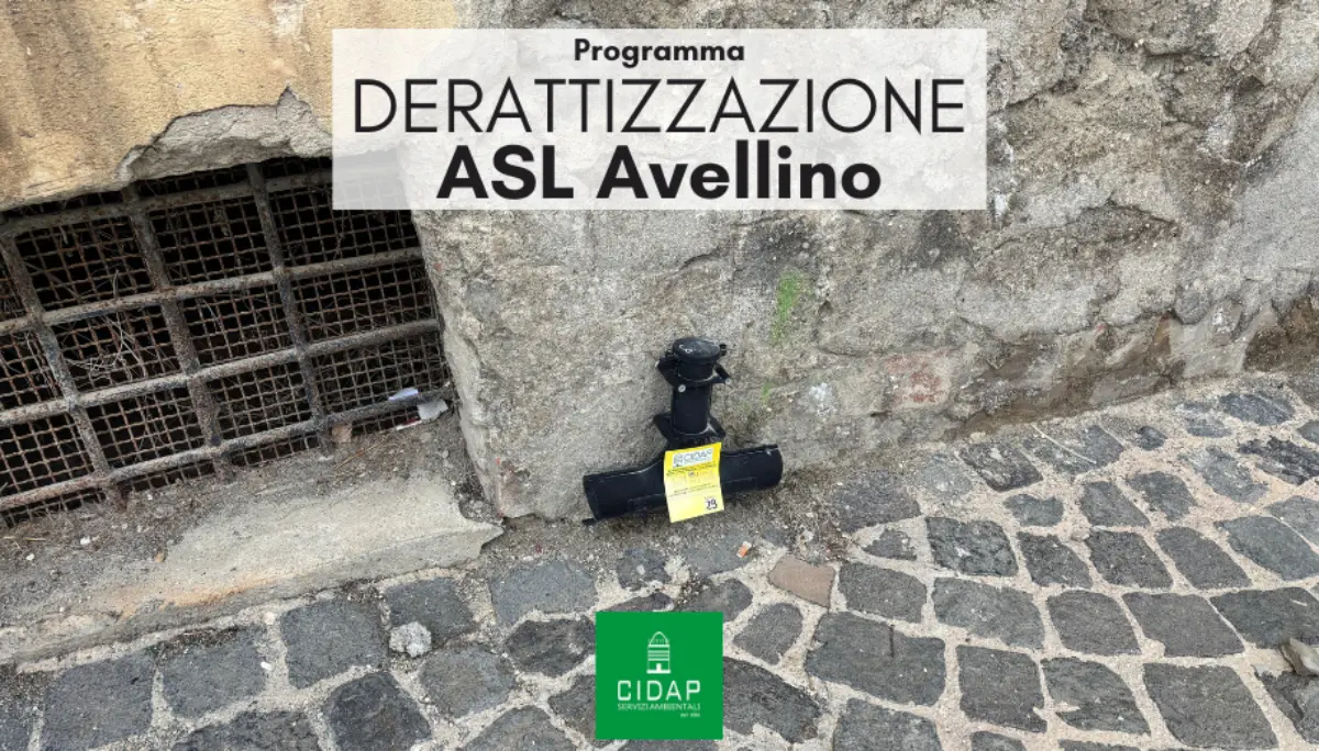 Programma derattizzazione ASL Avellino dicembre 2025