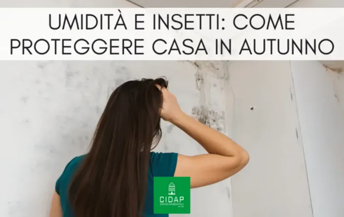 Umidità e insetti: come proteggere casa e magazzini in autunno