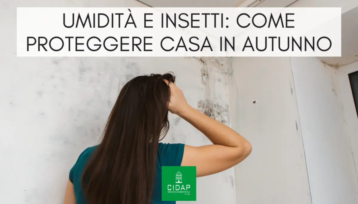 Umidità e insetti: come proteggere casa e magazzini in autunno