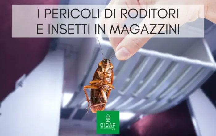 Pericoli di roditori e insetti in magazzini e depositi