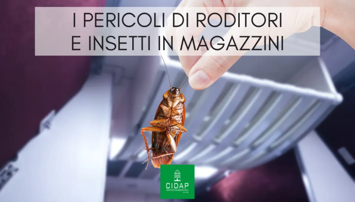 Pericoli di roditori e insetti in magazzini e depositi