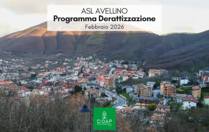 Programma derattizzazione ASL Avellino febbraio 2026