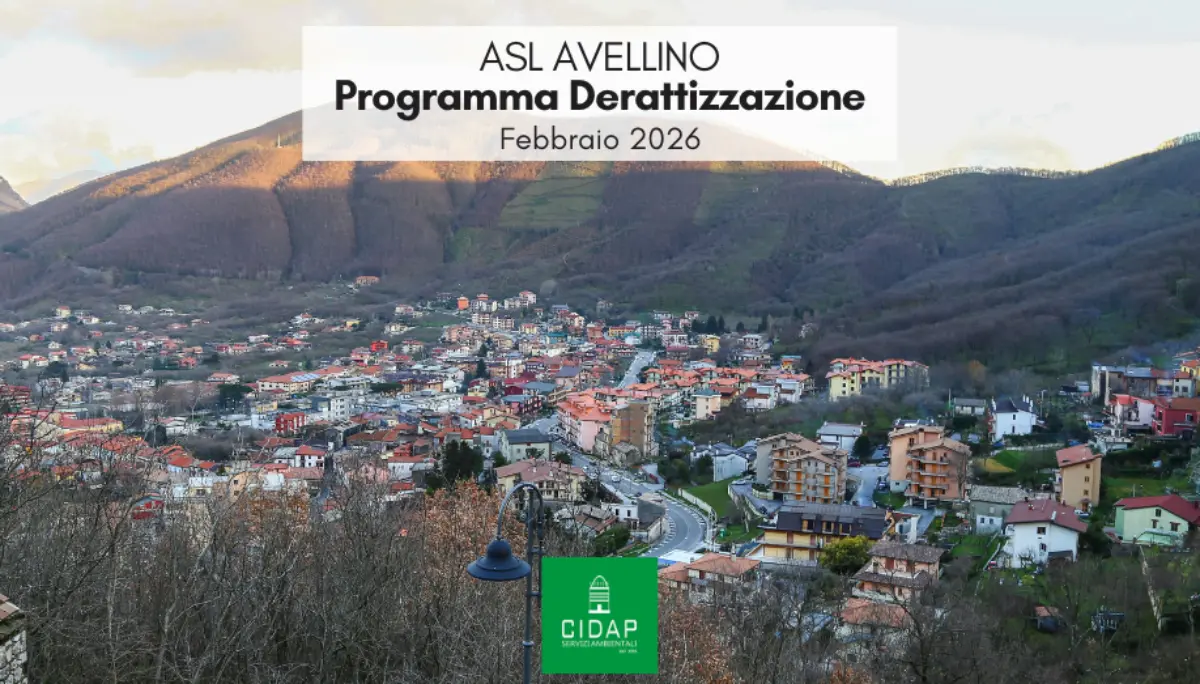 Programma derattizzazione ASL Avellino febbraio 2026