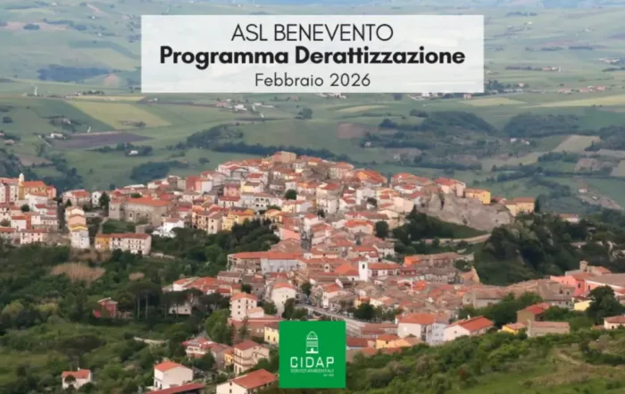 Programma derattizzazione ASL Benevento febbraio 2026
