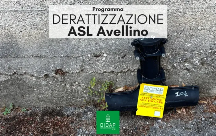Programma derattizzazione ASL Avellino gennaio 2026