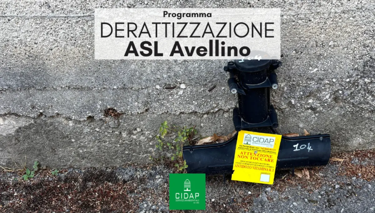 Programma derattizzazione ASL Avellino gennaio 2026