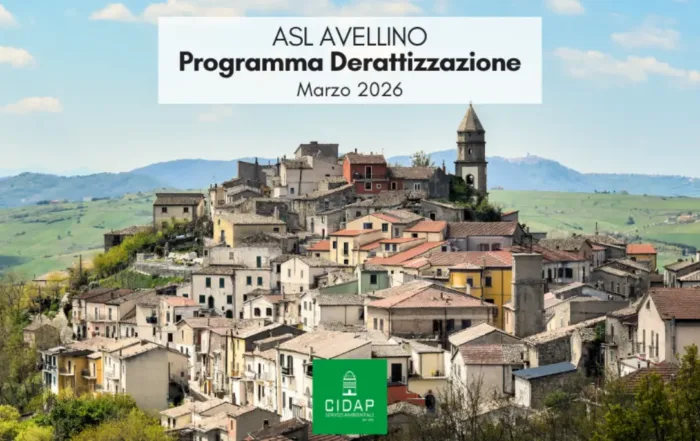 Programma derattizzazione ASL Avellino marzo 2026