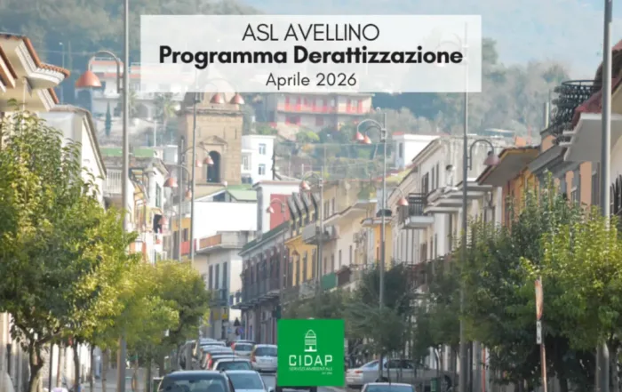 Programma derattizzazione ASL Avellino aprile 2026