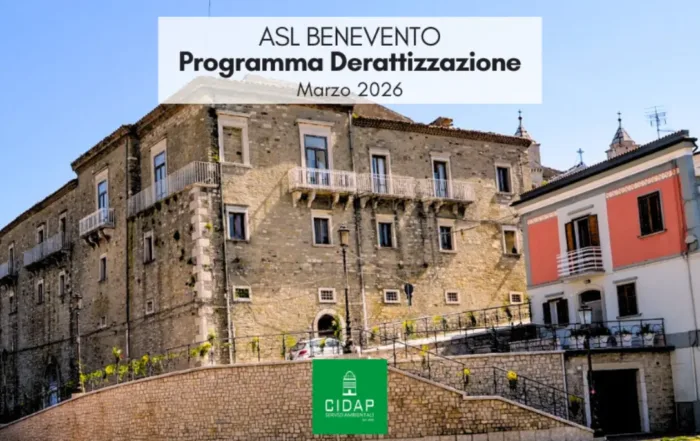 Programma derattizzazione ASL Benevento marzo 2026