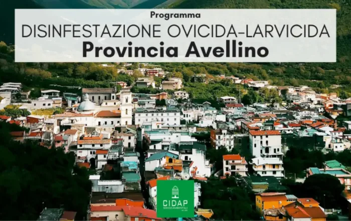Provincia Avellino, programma di disinfestazione ovidica-larvicida aprile 2026
