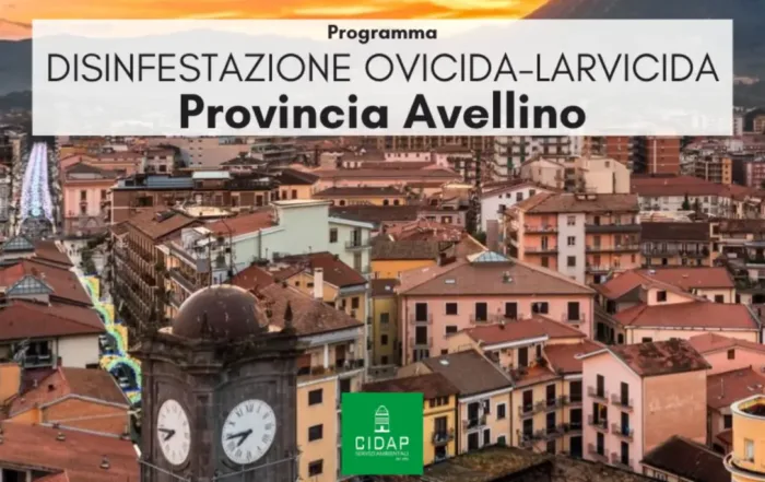 Provincia Avellino, programma di disinfestazione ovidica-larvicida marzo 2026