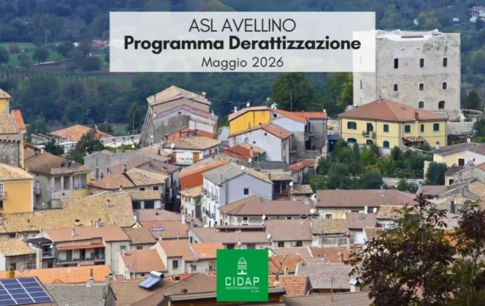 Programma derattizzazione ASL Avellino maggio 2026