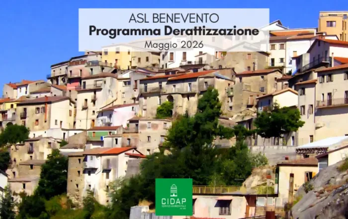 Programma derattizzazione ASL Benevento maggio 2026
