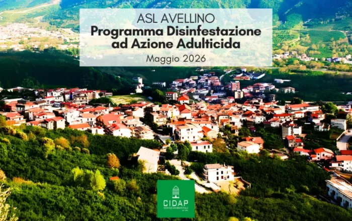 Provincia Avellino, programma di disinfestazione ad azione adulticida maggio 2026