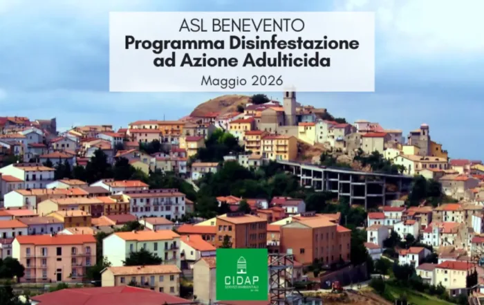 Provincia Benevento, programma di disinfestazione ad azione adulticida maggio 2026