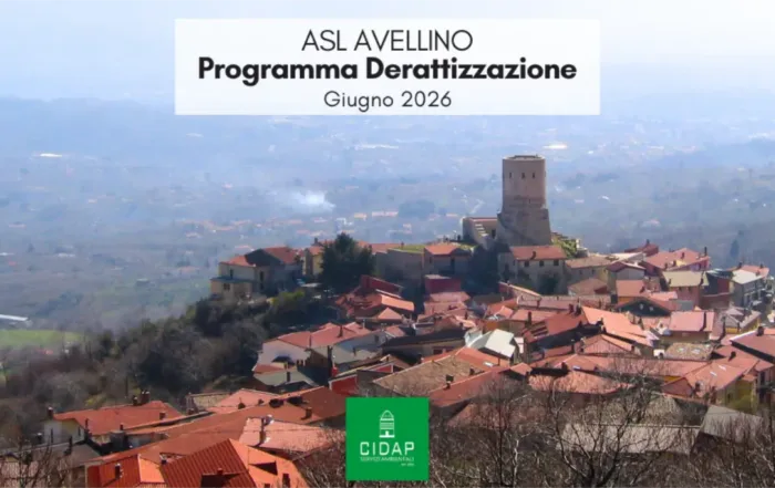 Programma derattizzazione ASL Avellino giugno 2026