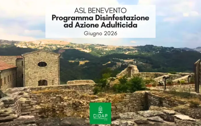 Provincia Benevento, programma di disinfestazione ad azione adulticida giugno 2026