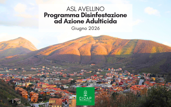 Provincia Avellino, programma di disinfestazione ad azione adulticida giugno 2026