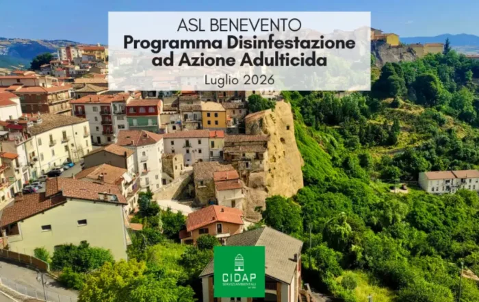 Provincia Benevento, programma di disinfestazione ad azione adulticida luglio 2026